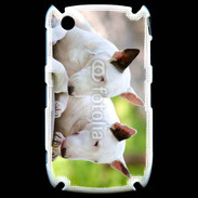 Coque Black Berry 8520 Chien Bull terrier anglais 1