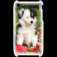 Coque iPhone 3G / 3GS Adorable chiot Border collie