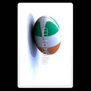 Etui carte bancaire Ballon de rugby irlande