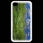 Coque iPhone 4 / iPhone 4S Champs de cannabis