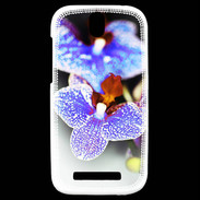 Coque HTC One SV Belle Orchidée PR 40