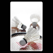 Etui carte bancaire Badminton passion 10