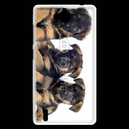 Coque Huawei Ascend G740 Chiots Berger Allemand