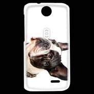 Coque HTC Desire 310 Bulldog français 1