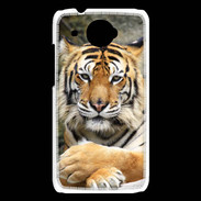 Coque HTC Desire 601 Tigre