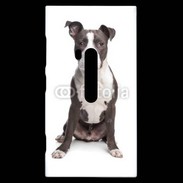 Coque Nokia Lumia 920 American Staffordshire Terrier puppy