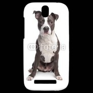 Coque HTC One SV American Staffordshire Terrier puppy