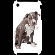 Coque iPhone 3G / 3GS American staffordshire bull terrier