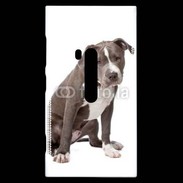 Coque Nokia Lumia 920 American staffordshire bull terrier