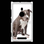 Coque Nokia Lumia 925 American staffordshire bull terrier