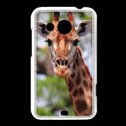 Coque HTC Desire 200 Portrait d'une Giraffe