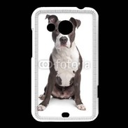 Coque HTC Desire 200 American Staffordshire Terrier puppy