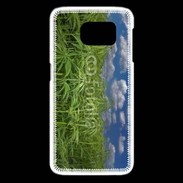 Coque Samsung Galaxy S6 edge Champs de cannabis
