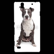 Coque Sony Xperia C4 American Staffordshire Terrier puppy