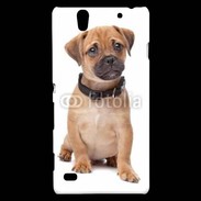 Coque Sony Xperia C4 Cavalier king charles 700