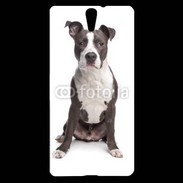 Coque Sony Xperia C5 American Staffordshire Terrier puppy