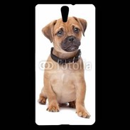 Coque Sony Xperia C5 Cavalier king charles 700