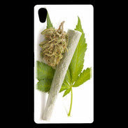 Coque Sony Xperia Z5 Premium Feuille de cannabis 5